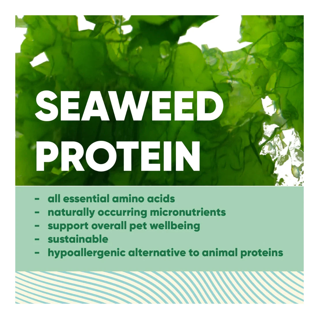 Anipal Calm Treats For Anxious Dogs130g 5 Anipal Calm Treats For Anxious Dogs130g - Image 5