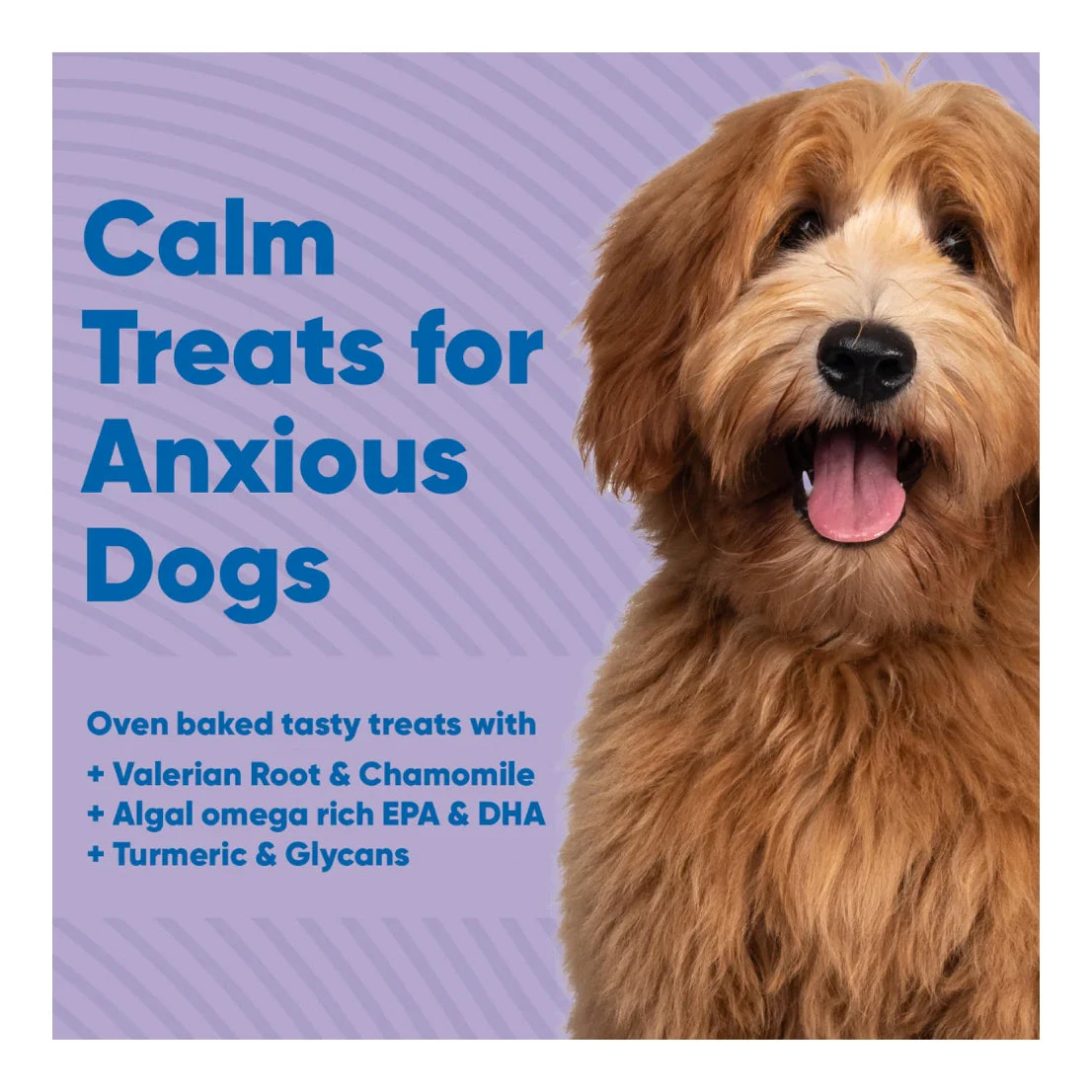 Anipal Calm Treats For Anxious Dogs130g 4 Anipal Calm Treats For Anxious Dogs130g - Image 4