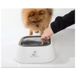 All Fur You Anti Splash, Anti Spill Pet Water Bowl -Vetn Pet Direct Store anti splash water bowl media 02