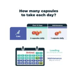 Antinol Plus For Cats - Easy Feed Capsules -Vetn Pet Direct Store antinol cat dosage