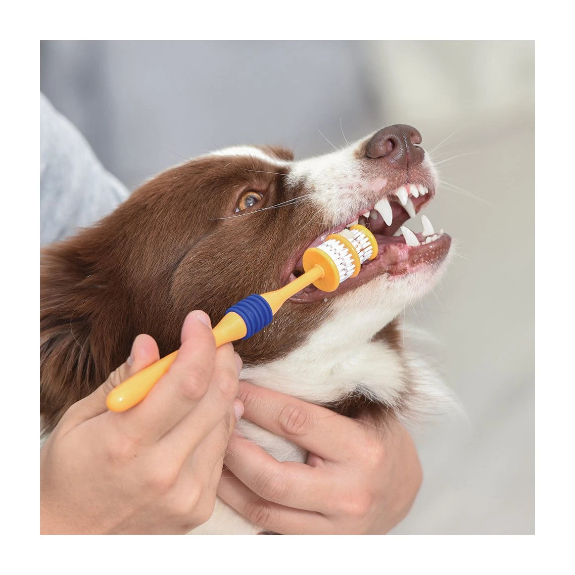 Arm & Hammer Fresh Spectrum 360 Degree Dog Toothbrush 2 Arm & Hammer Fresh Spectrum 360 Degree Dog Toothbrush - Image 2