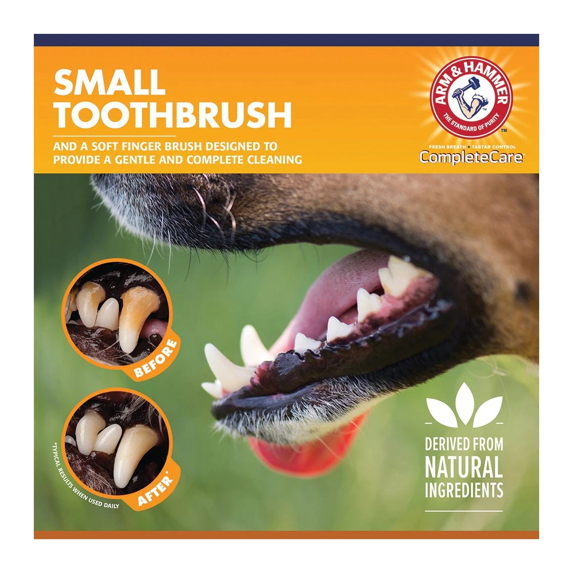 Arm & Hammer Complete Care Dental Kit For Dogs 3 Arm & Hammer Complete Care Dental Kit For Dogs - Image 3