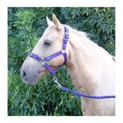 AniPal Comfort Halter & Lead Set For Horses