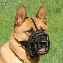 Company Of Animals Baskerville Ultra Muzzle For Dogs -Vetn Pet Direct Store baskerville ultra akita