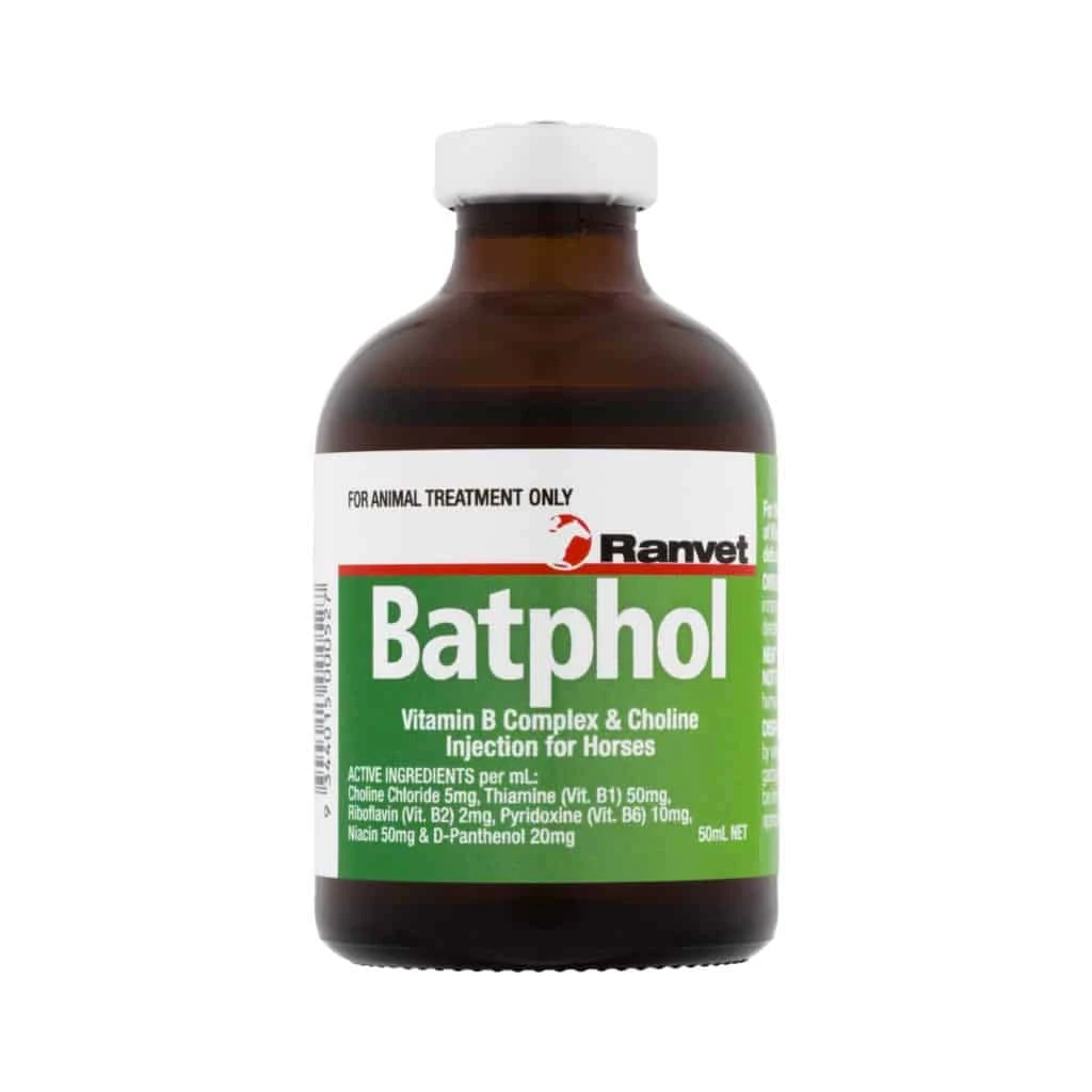 Ranvet Batphol Vitamin B Complex & Choline Injection For Horses 50mL 1 Ranvet Batphol Vitamin B Complex & Choline Injection For Horses 50mL
