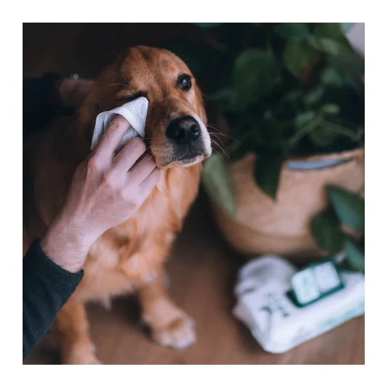 Beco Bamboo Dog Wipes - 80 Pack 3 Beco Bamboo Dog Wipes - 80 Pack - Image 3