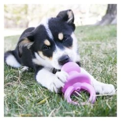 KONG Puppy Binkie -Vetn Pet Direct Store binkie 3