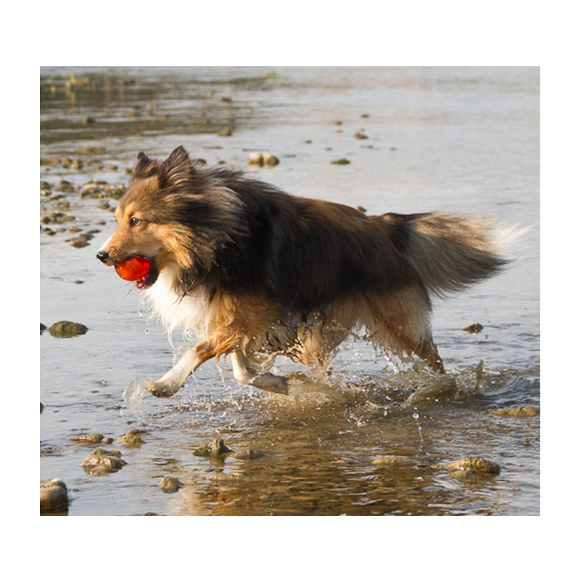 BIONIC Ball 5 BIONIC Ball - Image 5