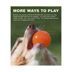 BIONIC Ball 10 BIONIC Ball -Vetn Pet Direct Store bionic ball 45