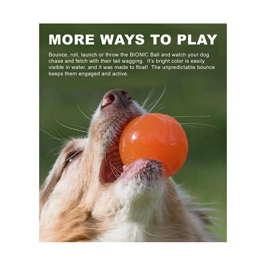 BIONIC Ball 4 BIONIC Ball - Image 4