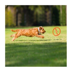 BIONIC Toss 'N Tug Ring 6 BIONIC Toss 'N Tug Ring -Vetn Pet Direct Store bionic toss tug ring 4