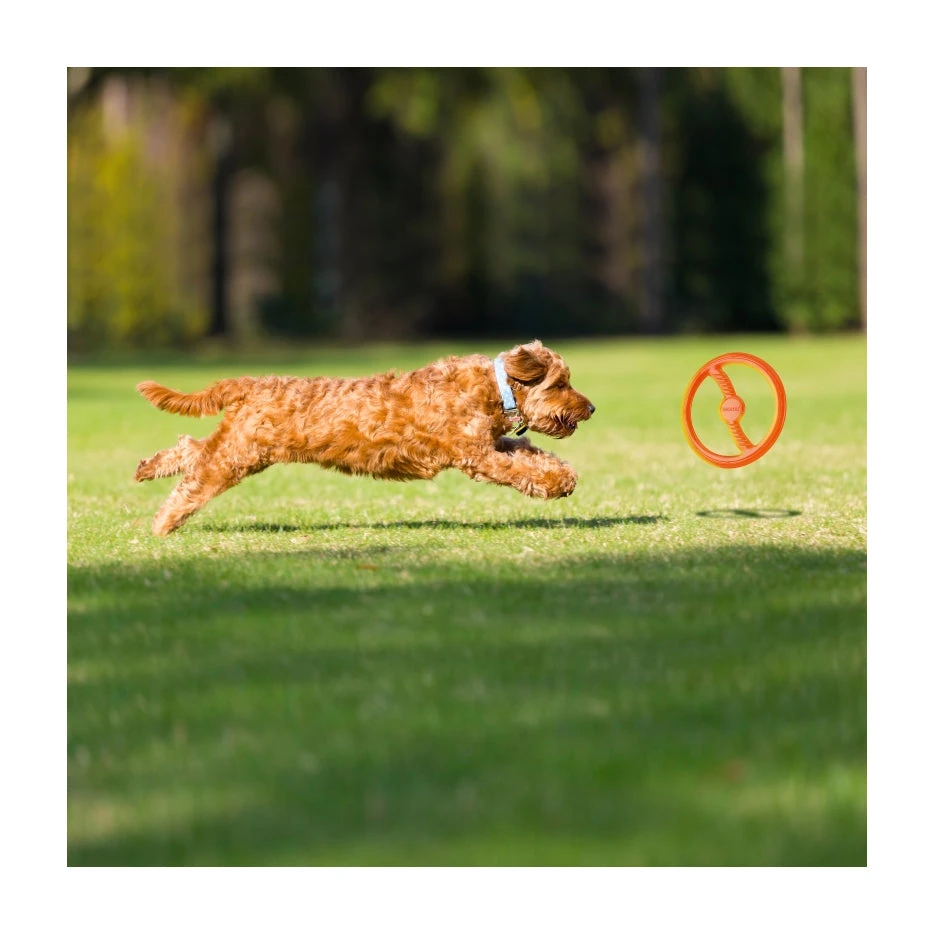 BIONIC Toss 'N Tug Ring 3 BIONIC Toss 'N Tug Ring - Image 3