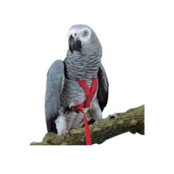 Prestige Pet Bird Harness And Leash 8 Prestige Pet Bird Harness And Leash -Vetn Pet Direct Store bird harness leash 3