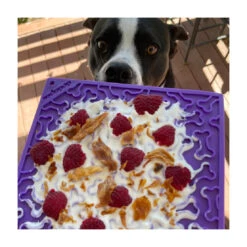 SodaPup EMat Bones Enrichment Lick Mat 6 SodaPup EMat Bones Enrichment Lick Mat -Vetn Pet Direct Store bones emat 3