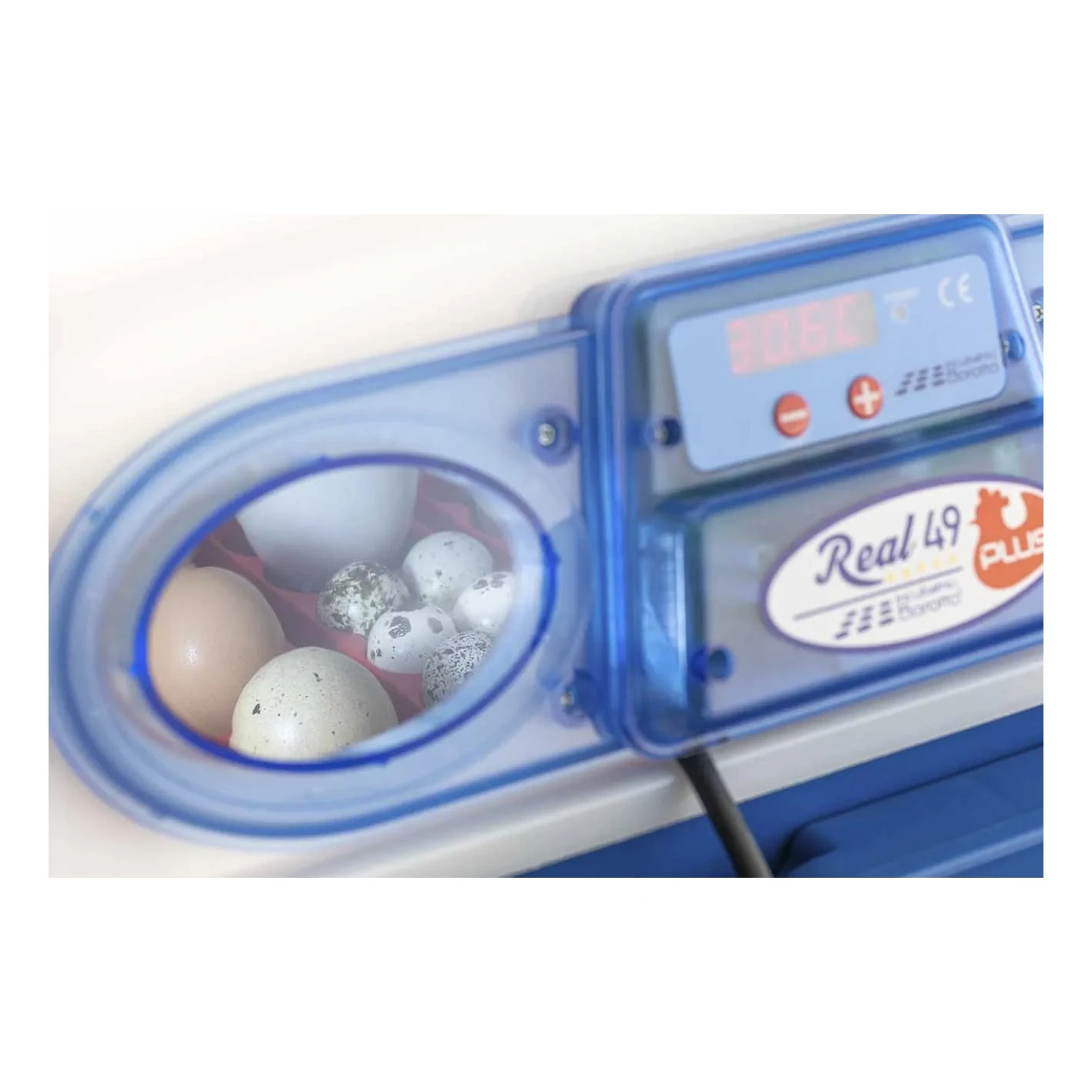 Borotto Real 49 Plus Incubator - Automatic 2 Borotto Real 49 Plus Incubator - Automatic - Image 2
