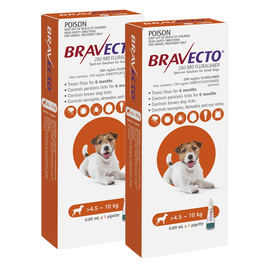 Bravecto Spot-on For Dogs 4.5kg-10kg (Orange) - 2 Pack Value Bundle 1 Bravecto Spot-on For Dogs 4.5kg-10kg (Orange) - 2 Pack Value Bundle
