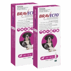 Bravecto Spot-On For Dogs 40kg-56kg (Pink) -2 Pack Value Bundle