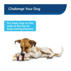 PetSafe Busy Buddy Bristle Bone Treat Ring Dog Toy 5 PetSafe Busy Buddy Bristle Bone Treat Ring Dog Toy -Vetn Pet Direct Store bristle bone dog