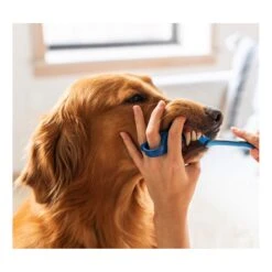 Paw Ready Oral Care Brushing Bundle Dental Kit - Toothbrush, BiteBlock, Toothpaste -Vetn Pet Direct Store brushing bundle 4