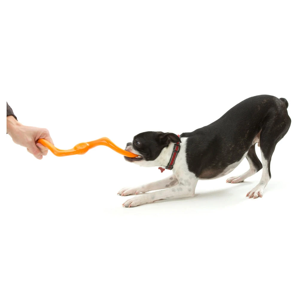 West Paw Zogoflex Bumi Tug & Fetch Dog Toy 2 West Paw Zogoflex Bumi Tug & Fetch Dog Toy - Image 2