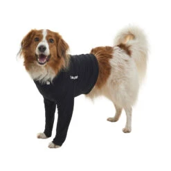 Buster Body Sleeves - Front Legs