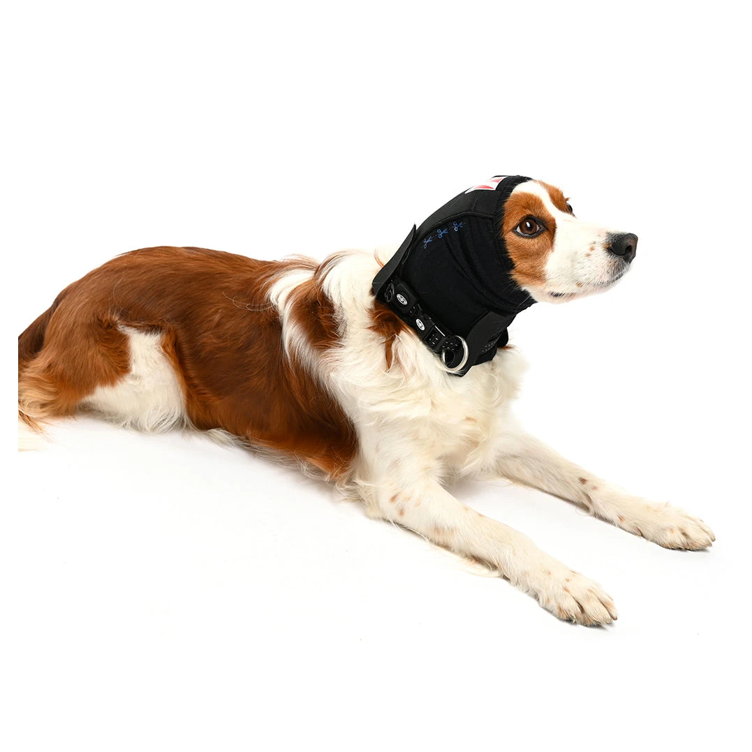 Buster Ear Covers 4 Buster Ear Covers - Image 4