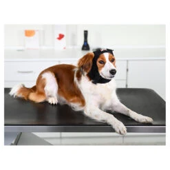 Buster Ear Covers 7 Buster Ear Covers -Vetn Pet Direct Store buster ear cover 3