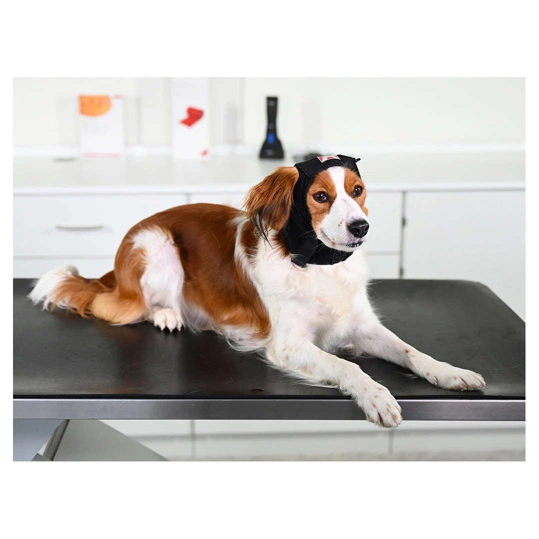 Buster Ear Covers 3 Buster Ear Covers - Image 3