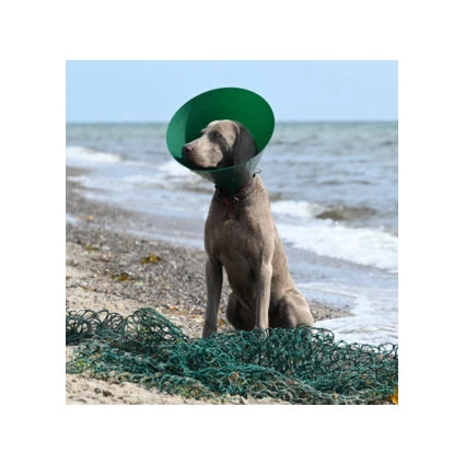 KRUUSE Buster Green Ocean Collar 2 KRUUSE Buster Green Ocean Collar - Image 2
