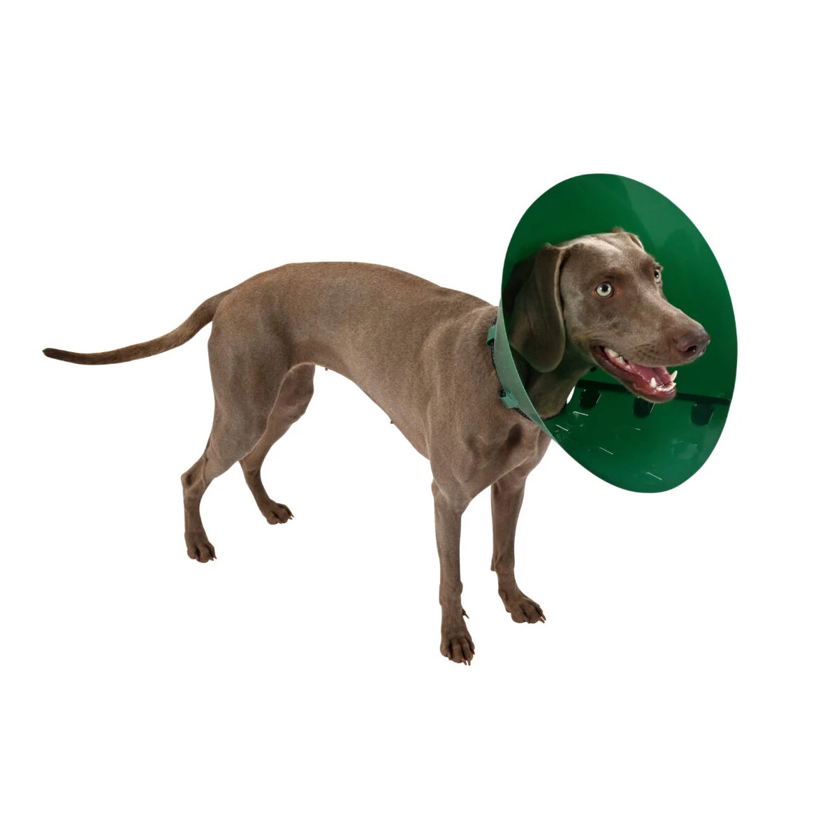 KRUUSE Buster Green Ocean Collar 1 KRUUSE Buster Green Ocean Collar