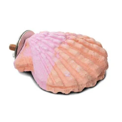 Bainbridge Calcium Clam Bird Perch - Small