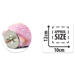 Bainbridge Calcium Clam Bird Perch - Small -Vetn Pet Direct Store calcium clam size