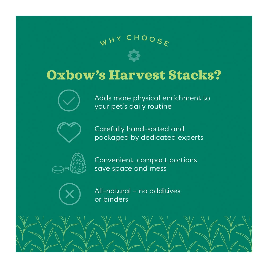 Oxbow Harvest Stacks - Western Timothy With Carrots 992g 3 Oxbow Harvest Stacks - Western Timothy With Carrots 992g - Image 3