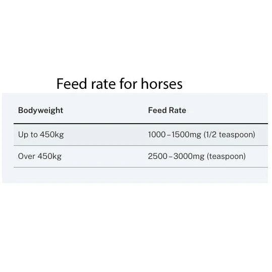 CEN Vitamin C Powder For Dogs & Horses 500g 3 CEN Vitamin C Powder For Dogs & Horses 500g - Image 3