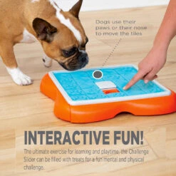 Nina Ottosson Challenge Slider Dog Treat Puzzle -Vetn Pet Direct Store challenge slider media 04