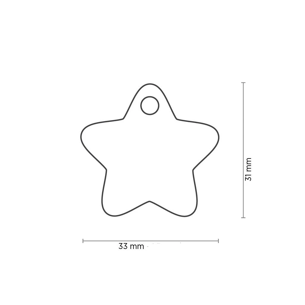My Family Charm Blue Star Pet ID Tag 2 My Family Charm Blue Star Pet ID Tag - Image 2