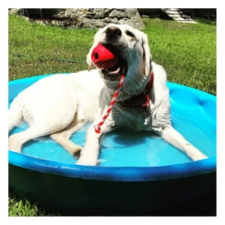 USA-K9 Cherry Bomb Chew & Tug Toy 13 USA-K9 Cherry Bomb Chew & Tug Toy -Vetn Pet Direct Store cherry bomb 04