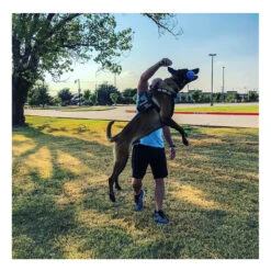 USA-K9 Cherry Bomb Chew & Tug Toy 15 USA-K9 Cherry Bomb Chew & Tug Toy -Vetn Pet Direct Store cherry bomb 06