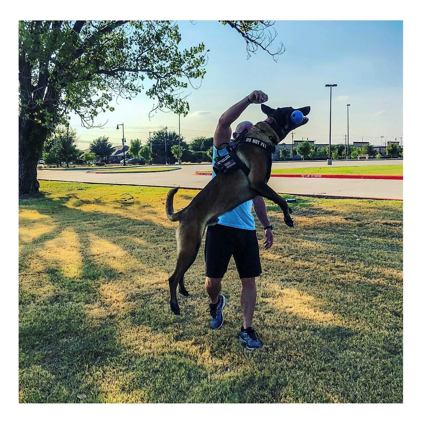 USA-K9 Cherry Bomb Chew & Tug Toy 7 USA-K9 Cherry Bomb Chew & Tug Toy - Image 7