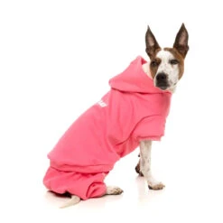 FuzzYard Chillin' Tracksuit 18 FuzzYard Chillin' Tracksuit -Vetn Pet Direct Store chillin tracksuit 4 bae477c3 29fc 4715 b180 6ccc845db5b3