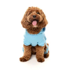 FuzzYard Chillin' Tracksuit 16 FuzzYard Chillin' Tracksuit -Vetn Pet Direct Store chillin tracksuit 7