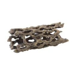 Exo Terra Cholla Cactus Skeleton -Vetn Pet Direct Store cholla medium