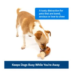 PetSafe Busy Buddy Chompin' Chicken Treat Ring Dog Toy -Vetn Pet Direct Store chompin chicken 3