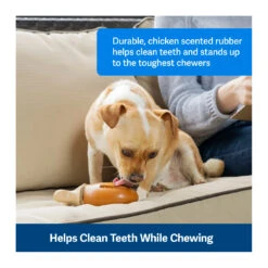 PetSafe Busy Buddy Chompin' Chicken Treat Ring Dog Toy -Vetn Pet Direct Store chompin chicken 4