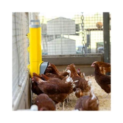 Bainbridge Chook Tower Feeder 15 Bainbridge Chook Tower Feeder -Vetn Pet Direct Store chook tower feeder 3