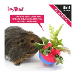 HayPigs! Circus Treat Ball 3-in-1 Enrichment Toy -Vetn Pet Direct Store circus treat ball 4