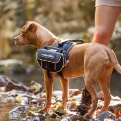EzyDog Convert Dog Saddle Bags -Vetn Pet Direct Store convertsaddlebags1