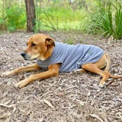 ZeeZ Cozy Fleece Dog Vest - Charcoal Grey 7 ZeeZ Cozy Fleece Dog Vest - Charcoal Grey -Vetn Pet Direct Store cosy fleece vest grey life2
