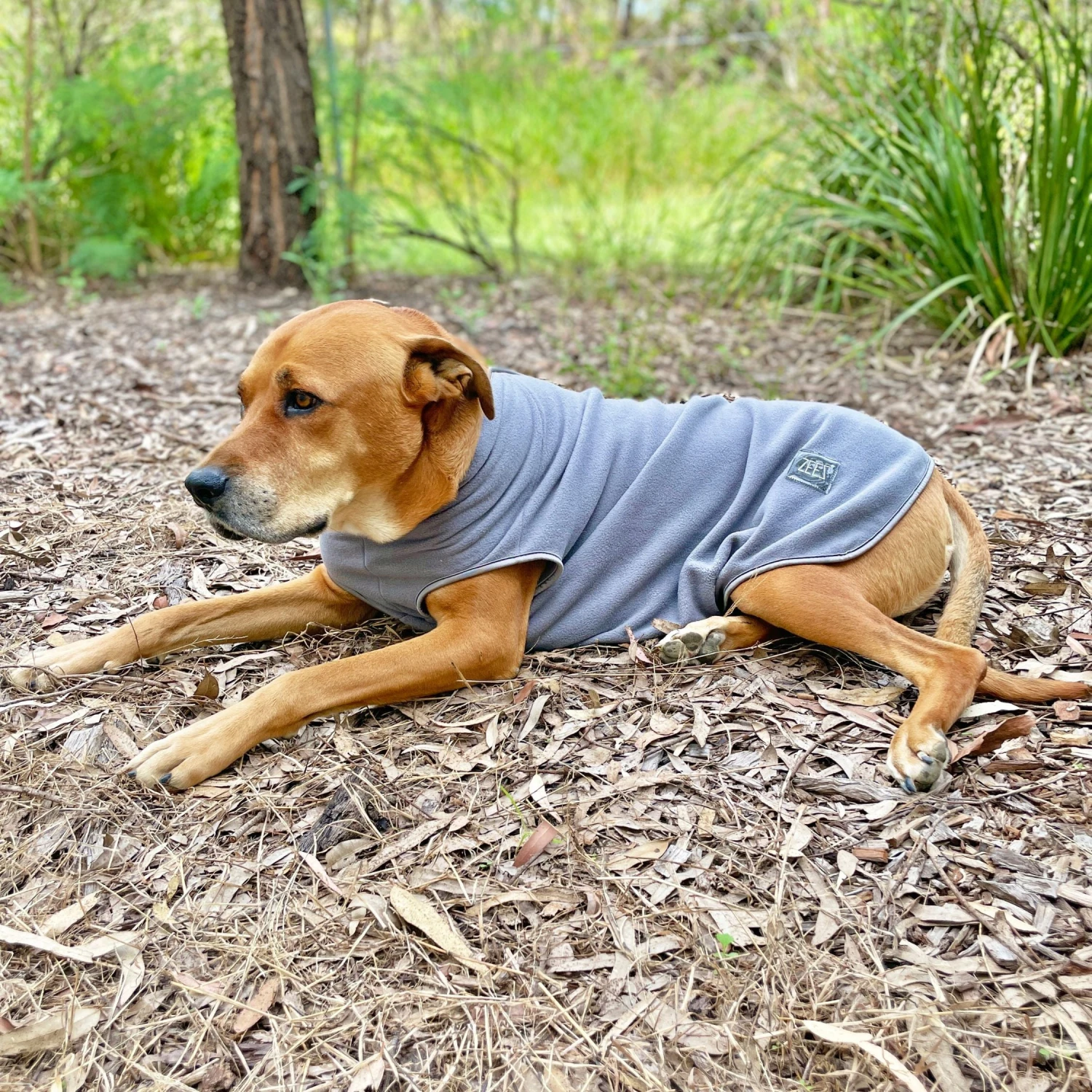 ZeeZ Cozy Fleece Dog Vest - Charcoal Grey 3 ZeeZ Cozy Fleece Dog Vest - Charcoal Grey - Image 3