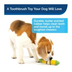 PetSafe Busy Buddy Cravin' Corncob Treat Ring Dog Toy -Vetn Pet Direct Store cravin corncob 4